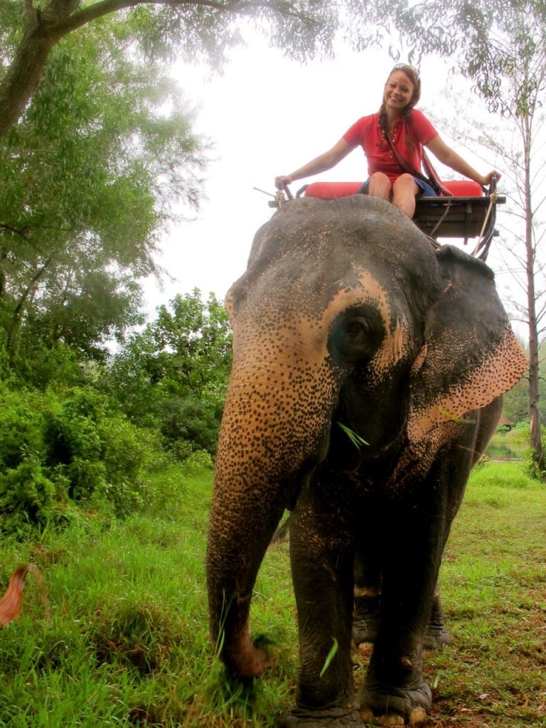 Angie Orth Thailand Elephant