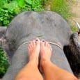 The 13 Wildest Rides I’ve Been On (So Far) From animals to fighter jets, the adventure never stops
