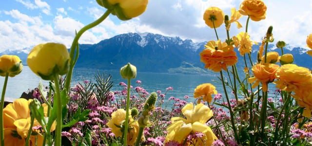 A necessary retreat to the Alps