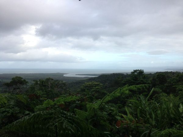 The view of the Great Barrier Reef from way up in the Daintree Rainforest