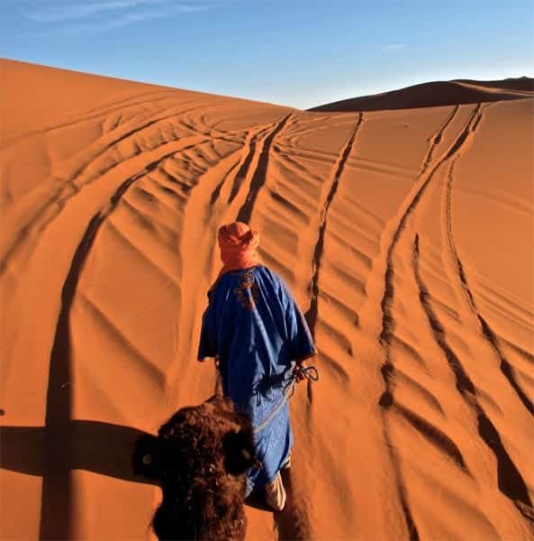 Camel riding in the Sahara desert