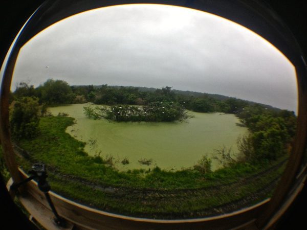 Fisheye shot taken with my Olloclip lens on iPhone 5