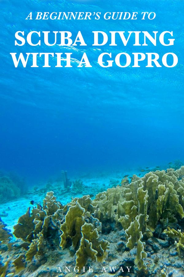 GoPro Scuba Diving: A Beginner’s Guide - Angie Away | Travel Expert