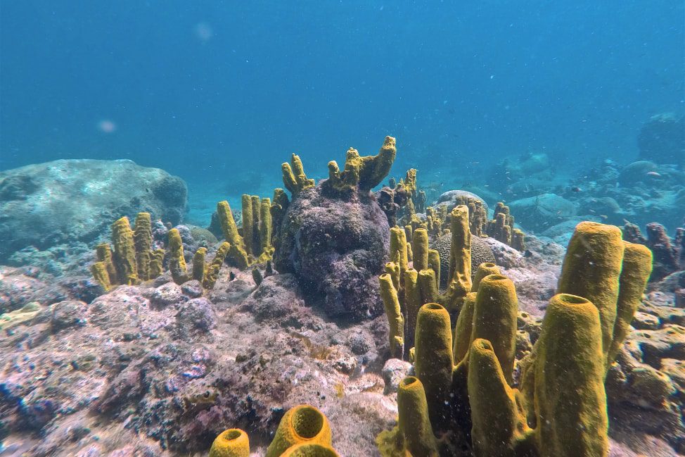 7 Things to do in Soufriere Saint Lucia via AngieAway.com