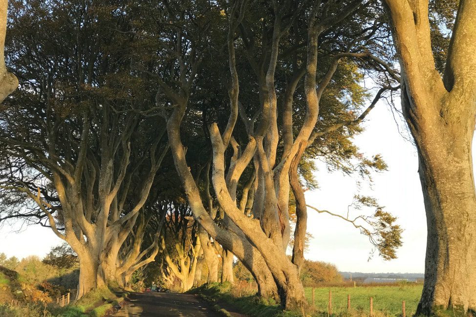 How to take Dark Hedges photos game of thrones locations