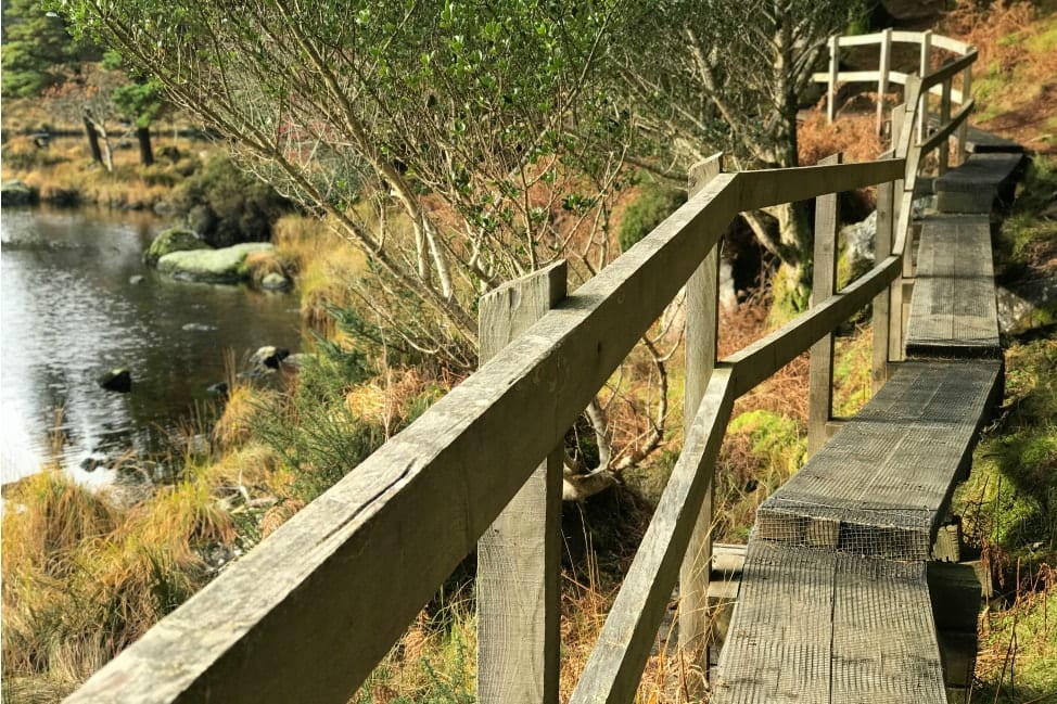 Glenteenassig Ireland Lake Path-