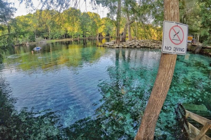 30 Dreamy Photos to Inspire You To Visit Ginnie Springs Florida in 2024