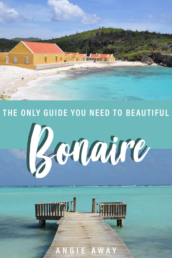Looking for things to do in Bonaire? Whether you're wanting to spend a few days diving, snorkeling or soaking up the sun, there's plenty of activities on this island! Check it out!