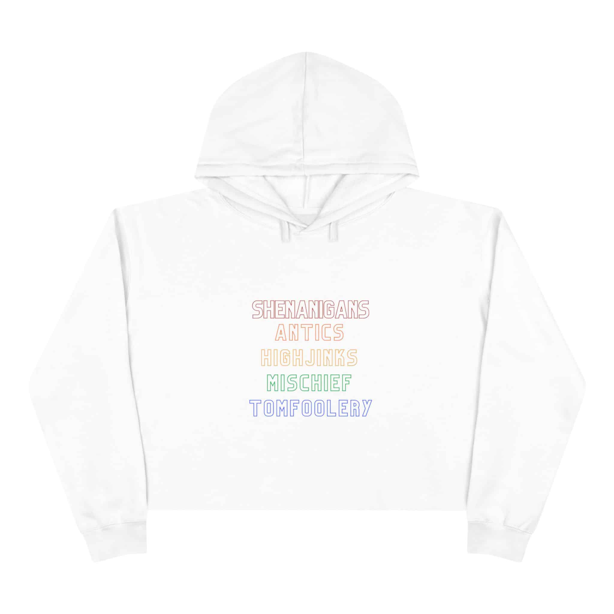 Rainbow Shenanigans Crop Hoodie - Image 2