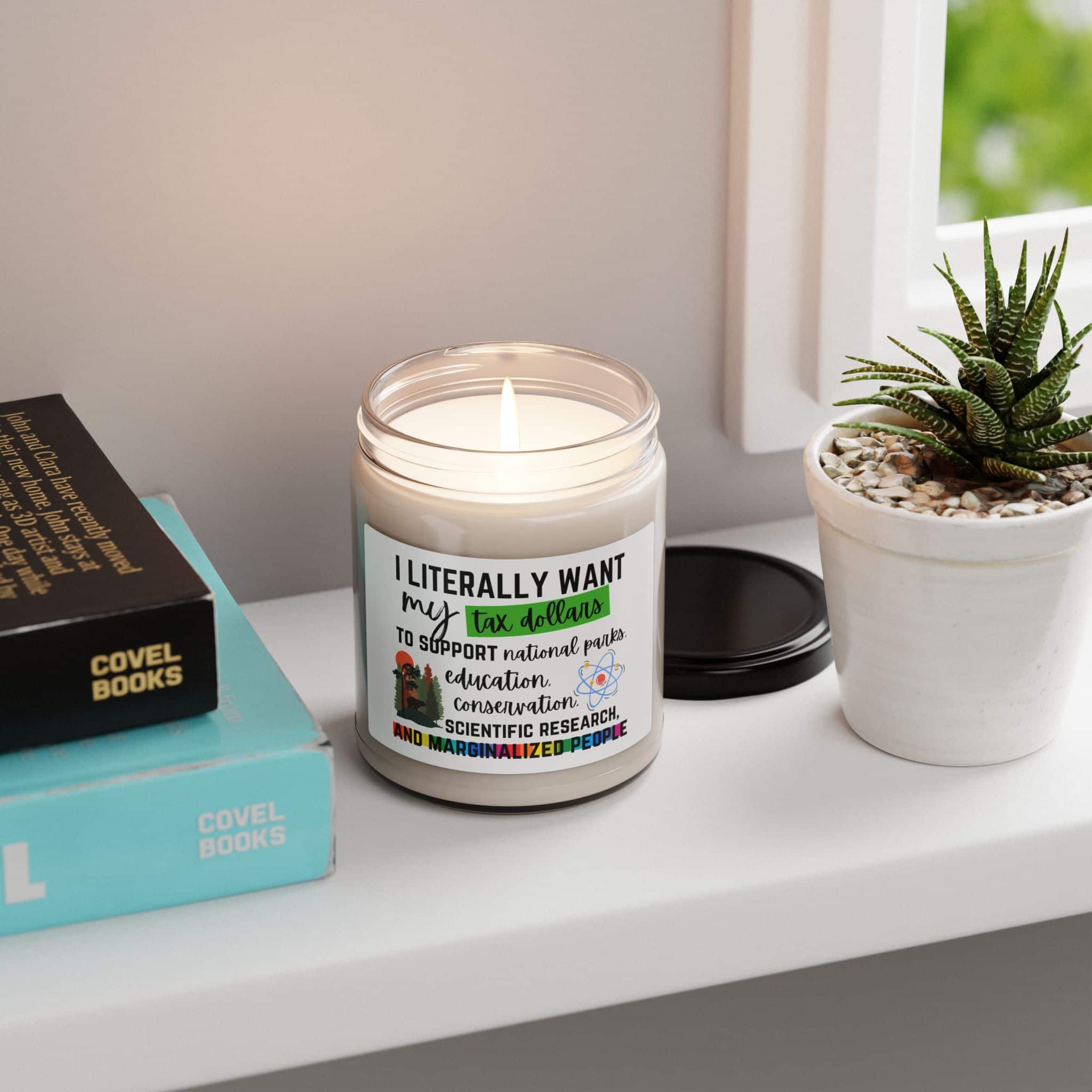 Scented Soy Candle - "I Literally Want My Tax Dollars" - Eco-Friendly, Support Education, Parks & Mental Health