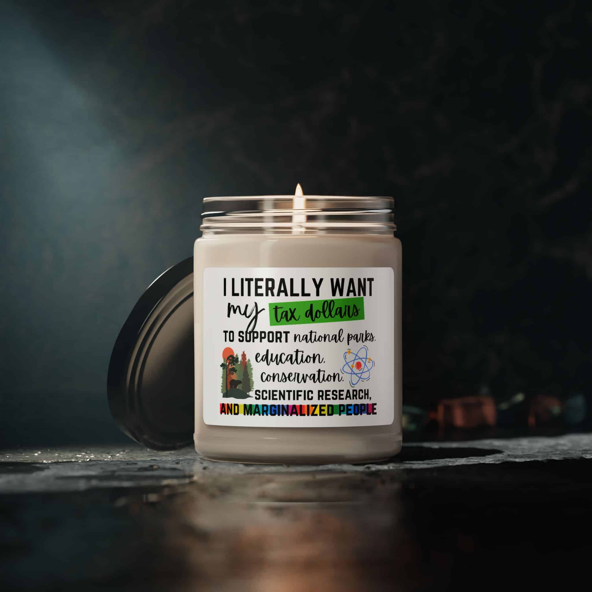 Scented Soy Candle - "I Literally Want My Tax Dollars" - Eco-Friendly, Support Education, Parks & Mental Health - Image 19