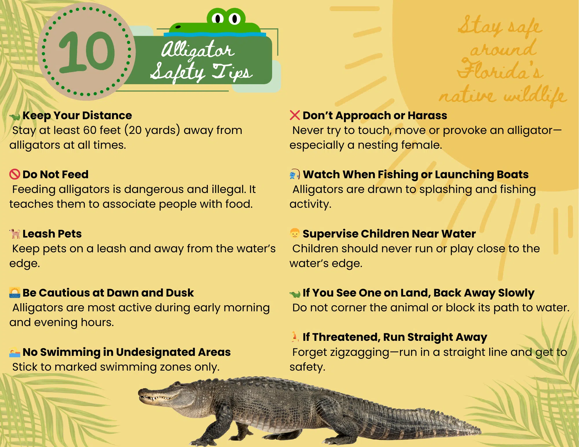 10 Alligator Safety Tips