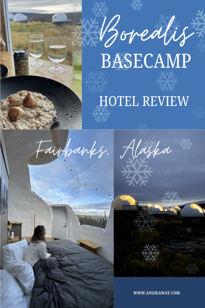 Borealis Basecamp Review - Fairbanks Alaska Igloo Northern Lights 
